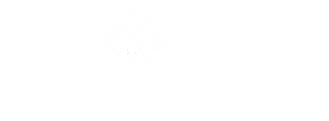 alevizakis olive oil trees